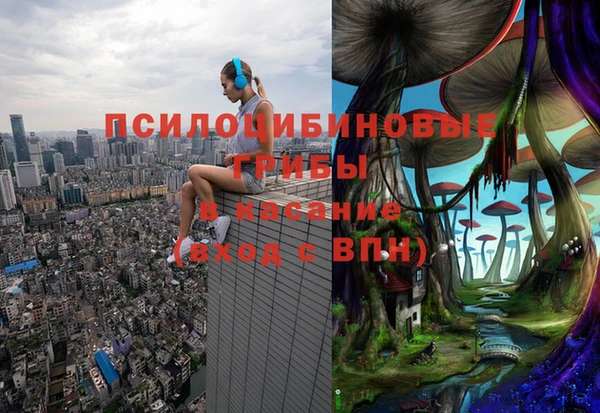 Альфа ПВП Богородск